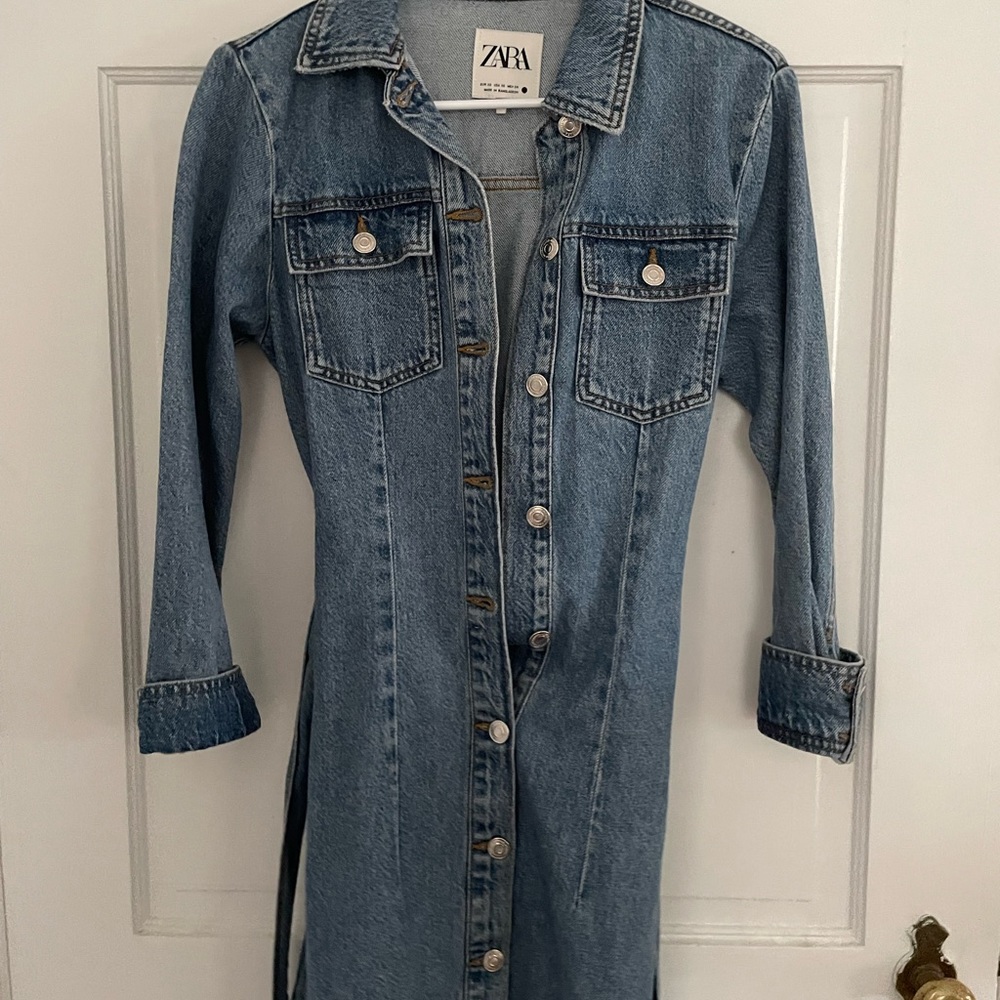 Zara dress